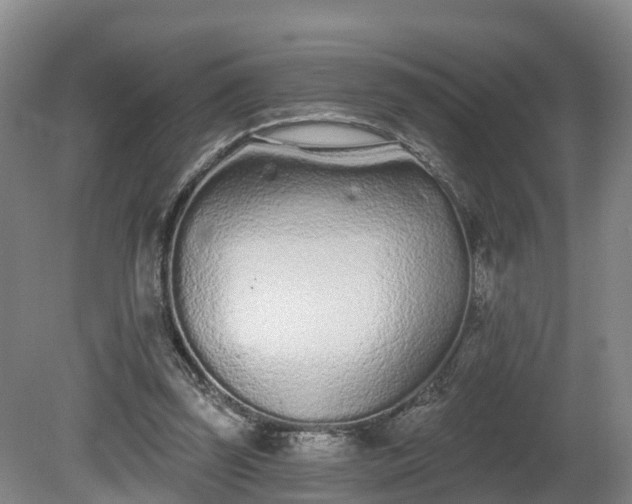 X0000081420347200701191601