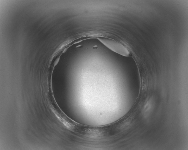 X0000081420349200701191602