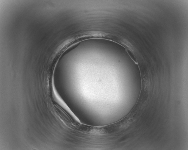 X0000081420350200701191602