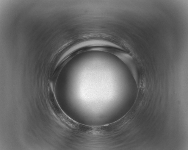X0000081420356200701191602