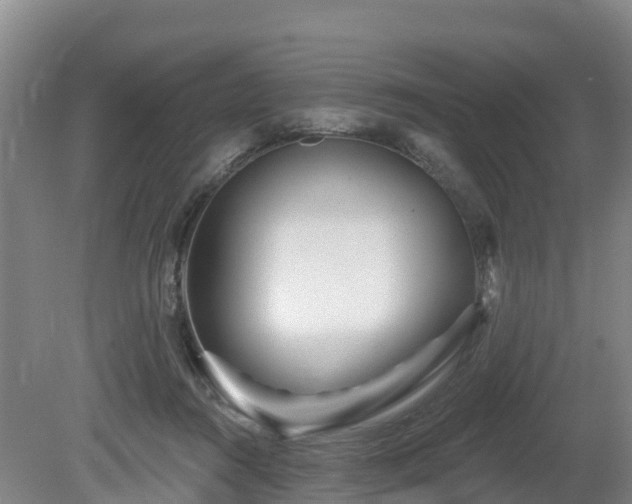 X0000081420360200701191602
