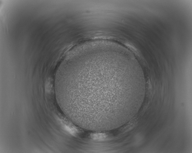 X0000081420361200701191602