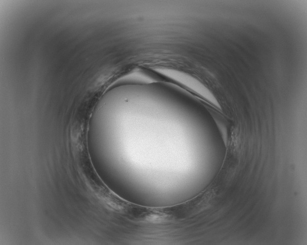 X0000081420364200701191602