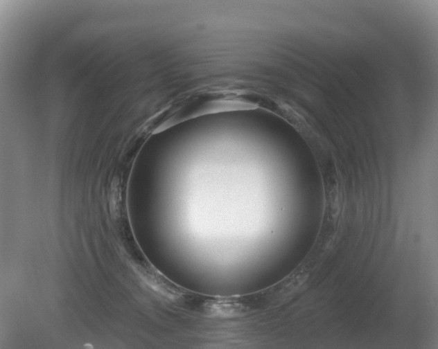 X0000081420372200701191602