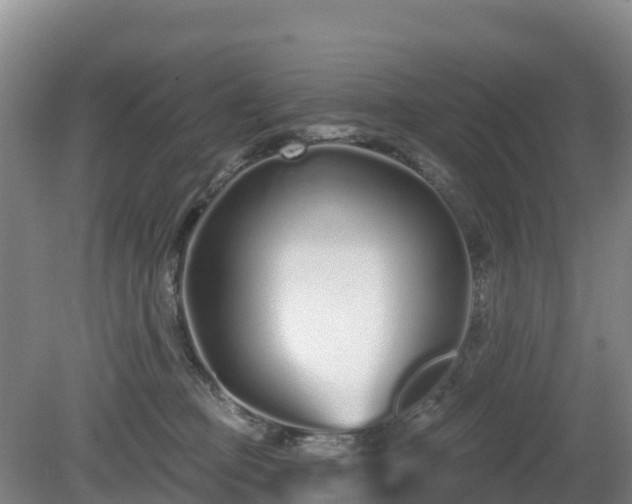 X0000081420373200701191602