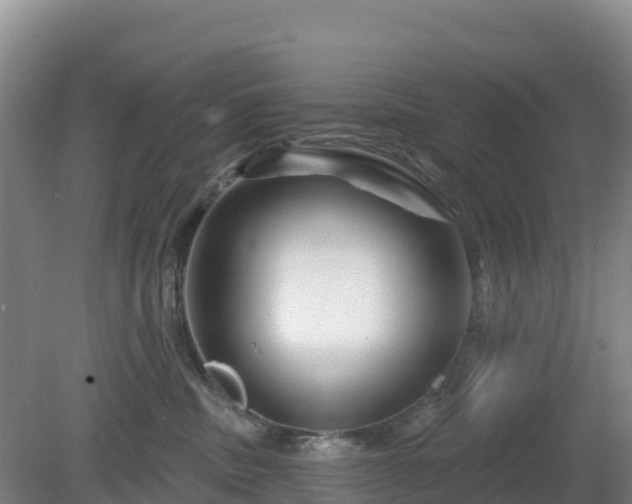 X0000081420379200701191602