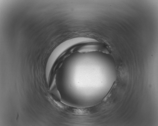 X0000081420380200701191602