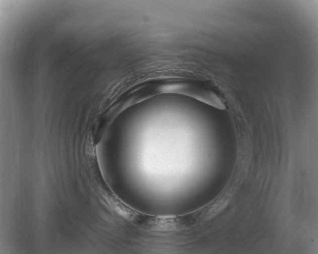 X0000081420384200701191602