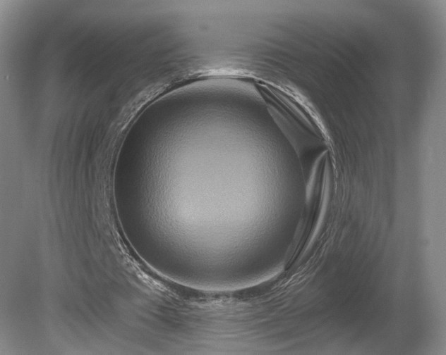 X0000081420385200701191601