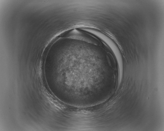 X0000081420387200701191601
