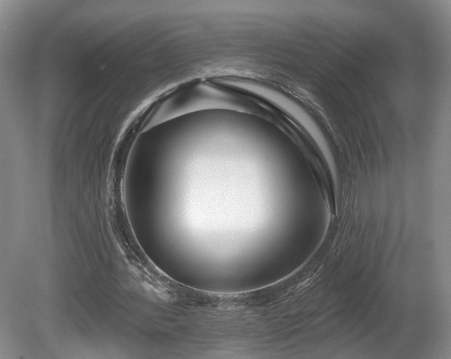 X0000081420388200701191601