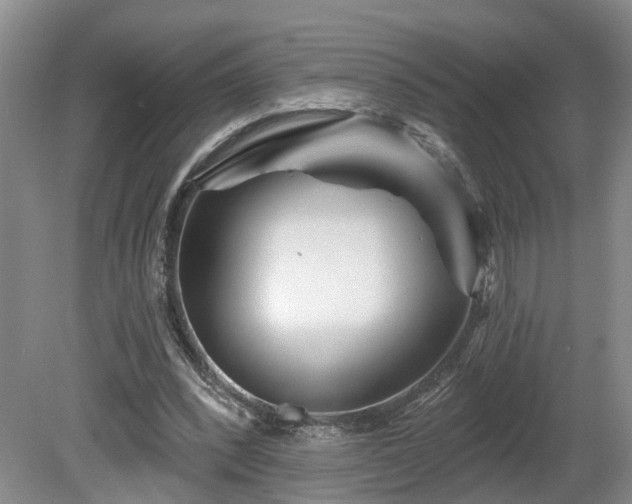 X0000081420392200701191601