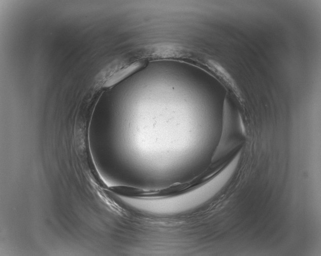X0000081420393200701191601