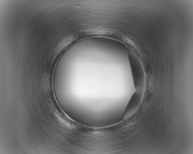 X0000081420394200701191601