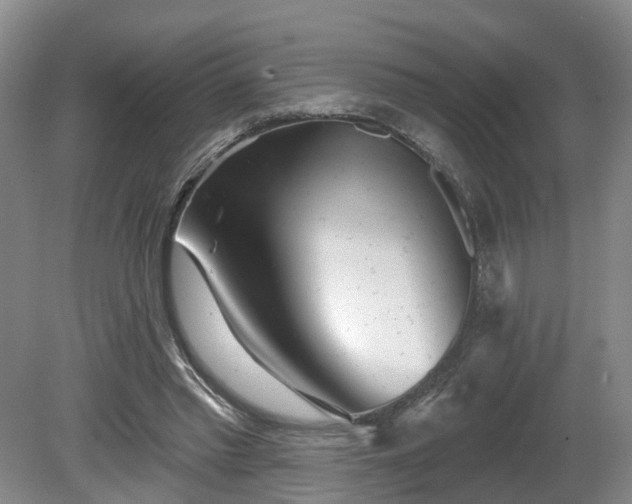 X0000081420397200701191601