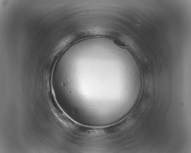 X0000081420398200701191601