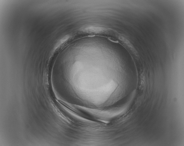 X0000081420399200701191601