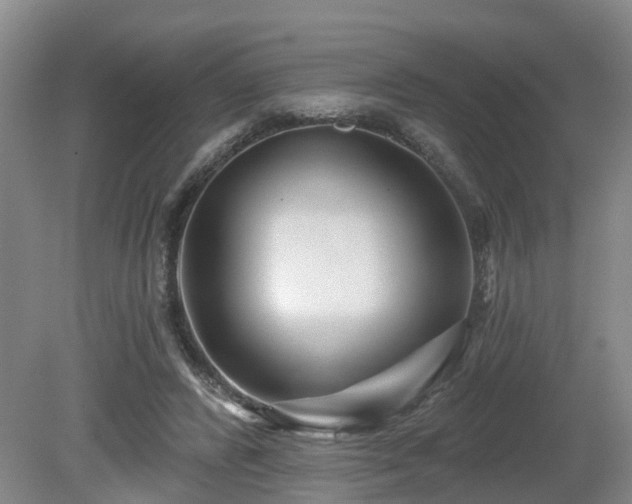 X0000081420400200701191601