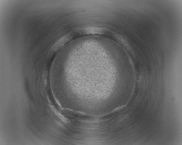 X0000081420402200701191601