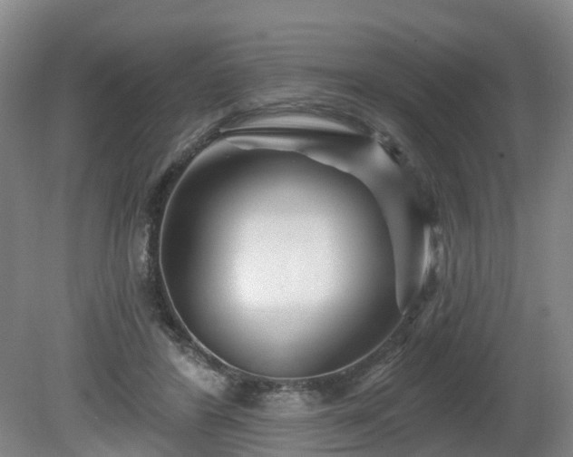 X0000081420404200701191601