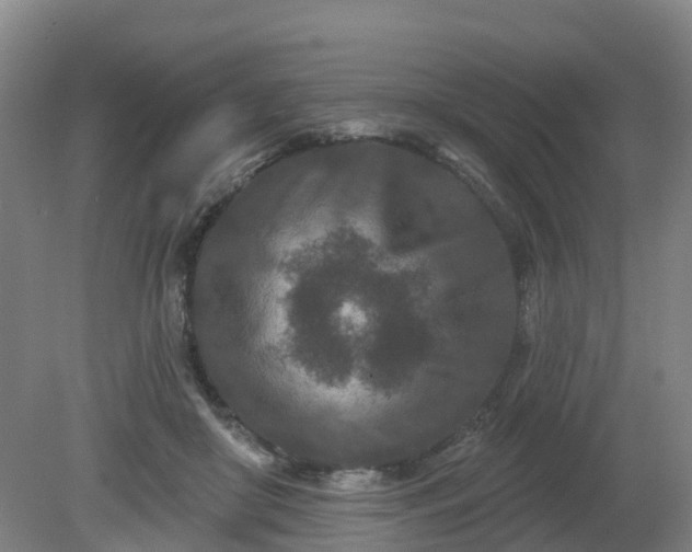 X0000081420410200701191601