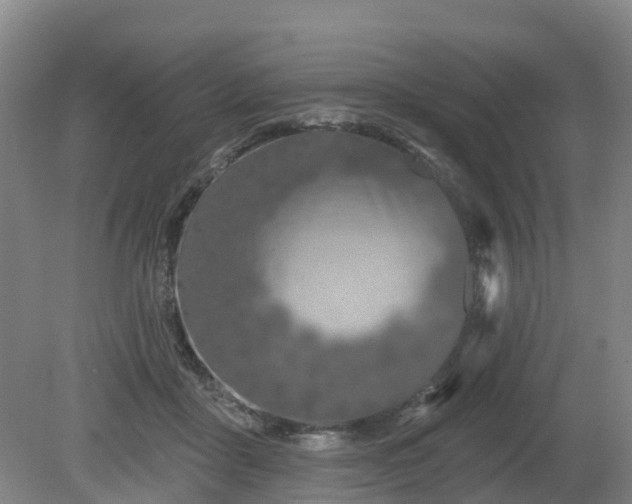 X0000081420411200701191601