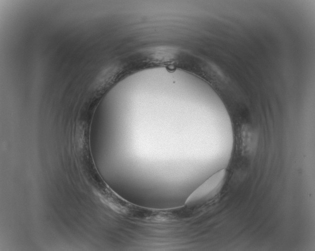 X0000081420412200701191601