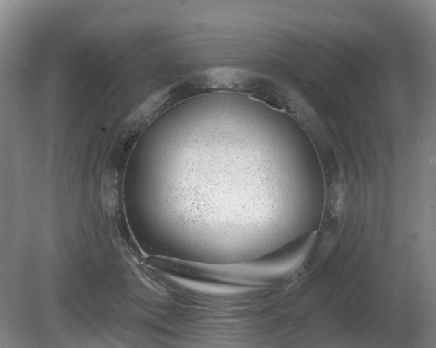 X0000081420413200701191601