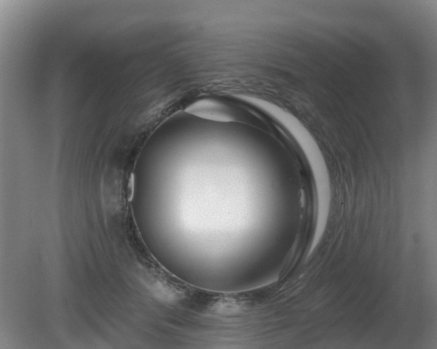 X0000081420416200701191601