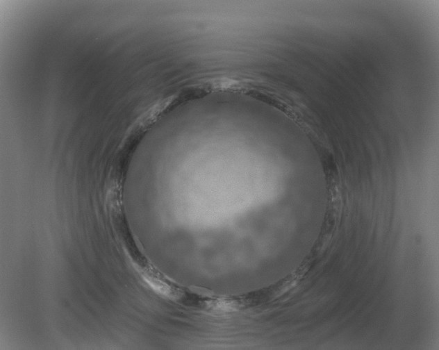 X0000081420419200701191601