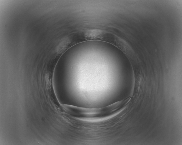 X0000081420420200701191601
