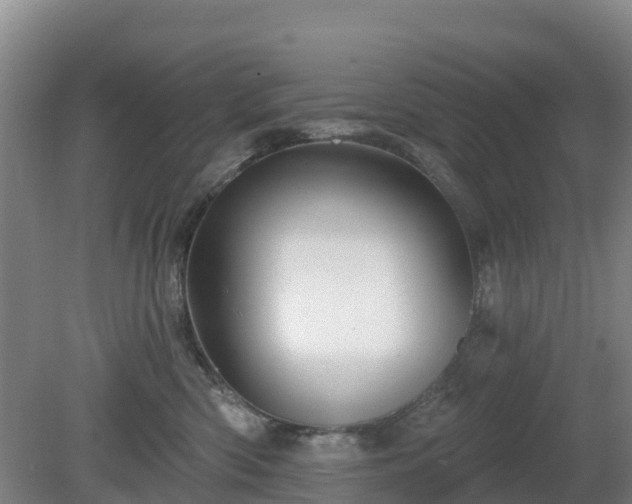 X0000081420426200701191601