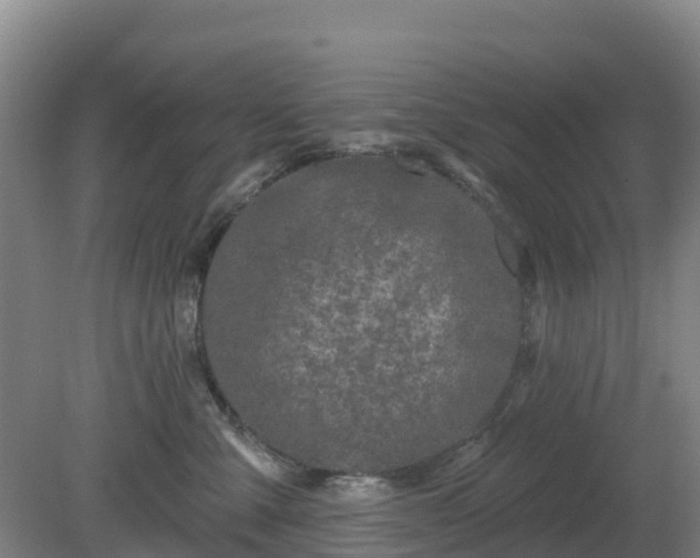 X0000081420427200701191601