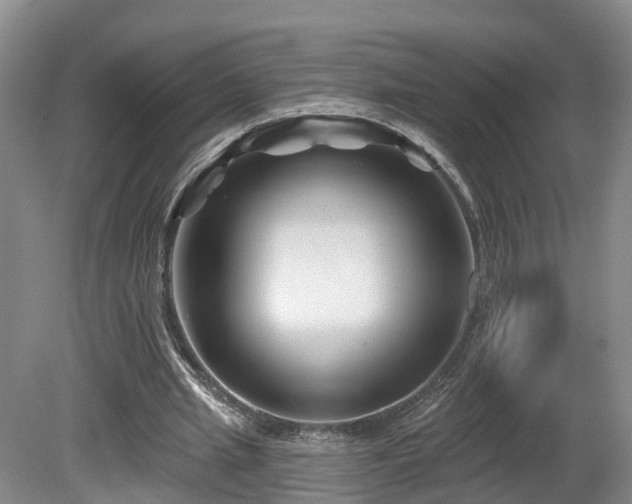 X0000081420437200701191600