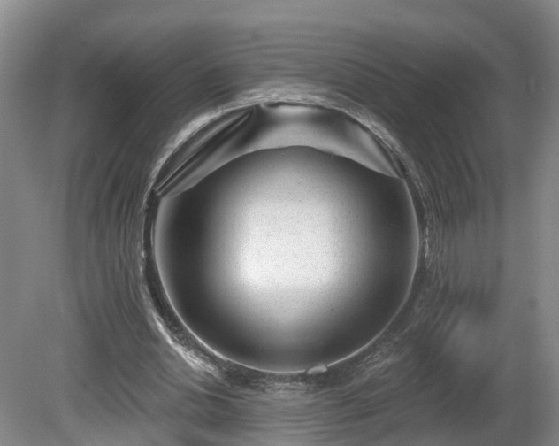 X0000081420438200701191600