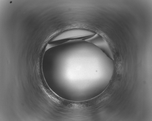 X0000081420442200701191600