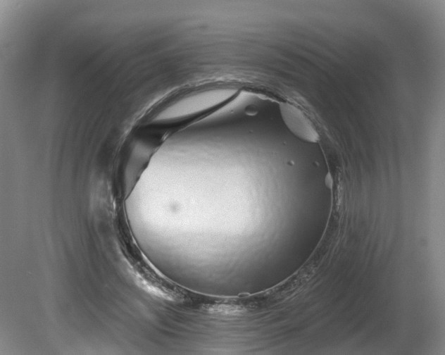 X0000081420444200701191600