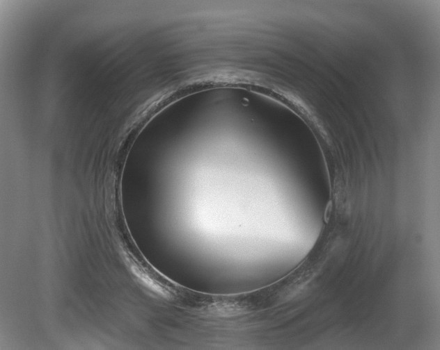 X0000081420445200701191600