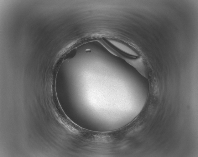X0000081420446200701191600