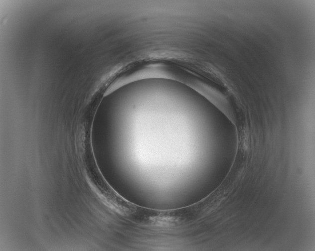 X0000081420448200701191600