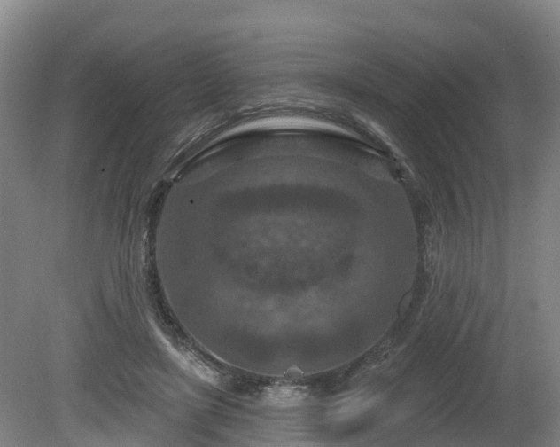 X0000081420451200701191600