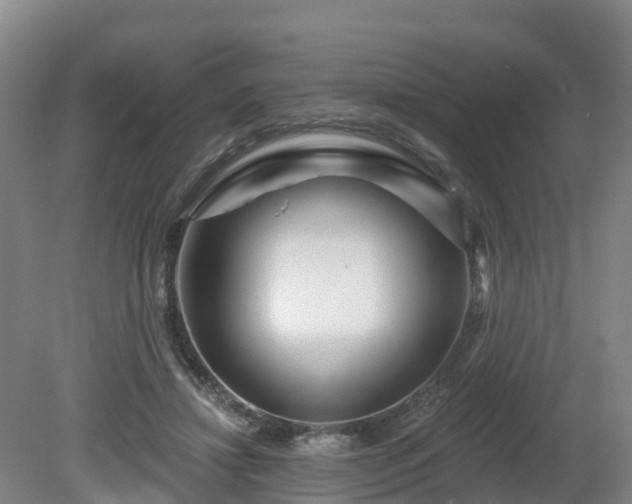 X0000081420452200701191600