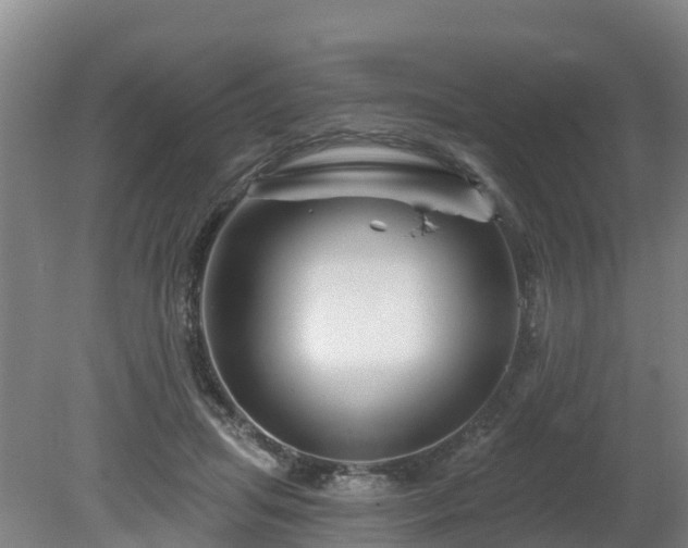 X0000081420455200701191600