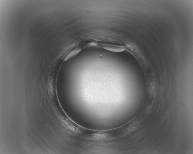 X0000081420457200701191600
