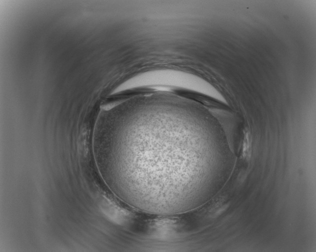 X0000081420462200701191600