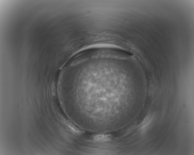 X0000081420465200701191600