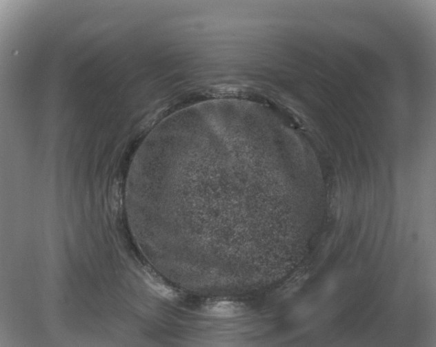 X0000081420467200701191600
