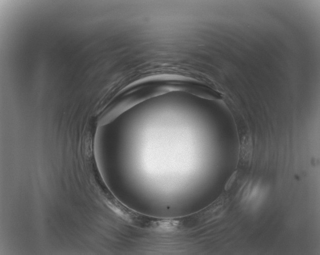 X0000081420474200701191600