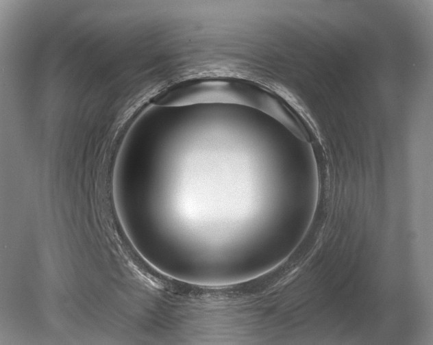 X0000081420481200701191600