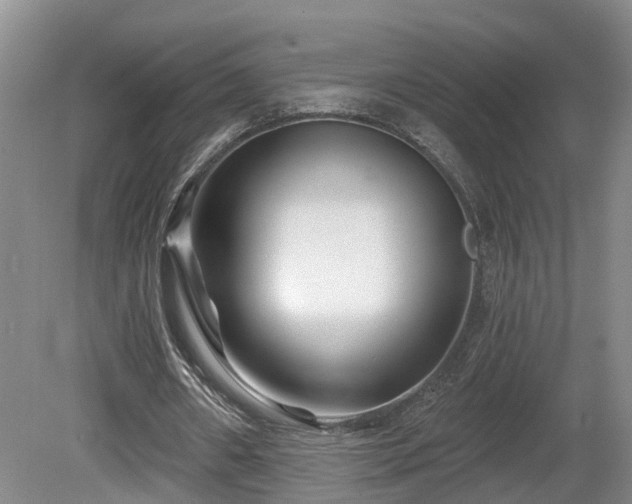 X0000081420482200701191600